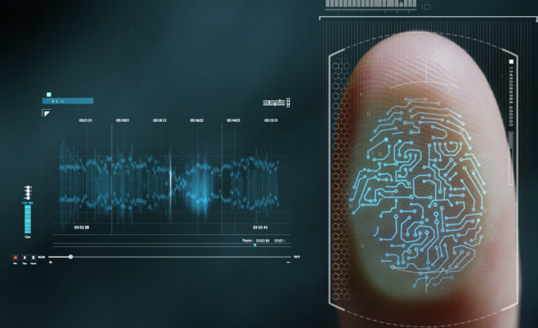 biometria ciberseguridad