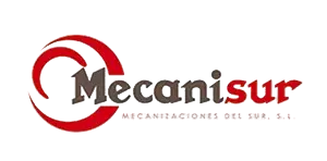 Mecanisur-Photoroom